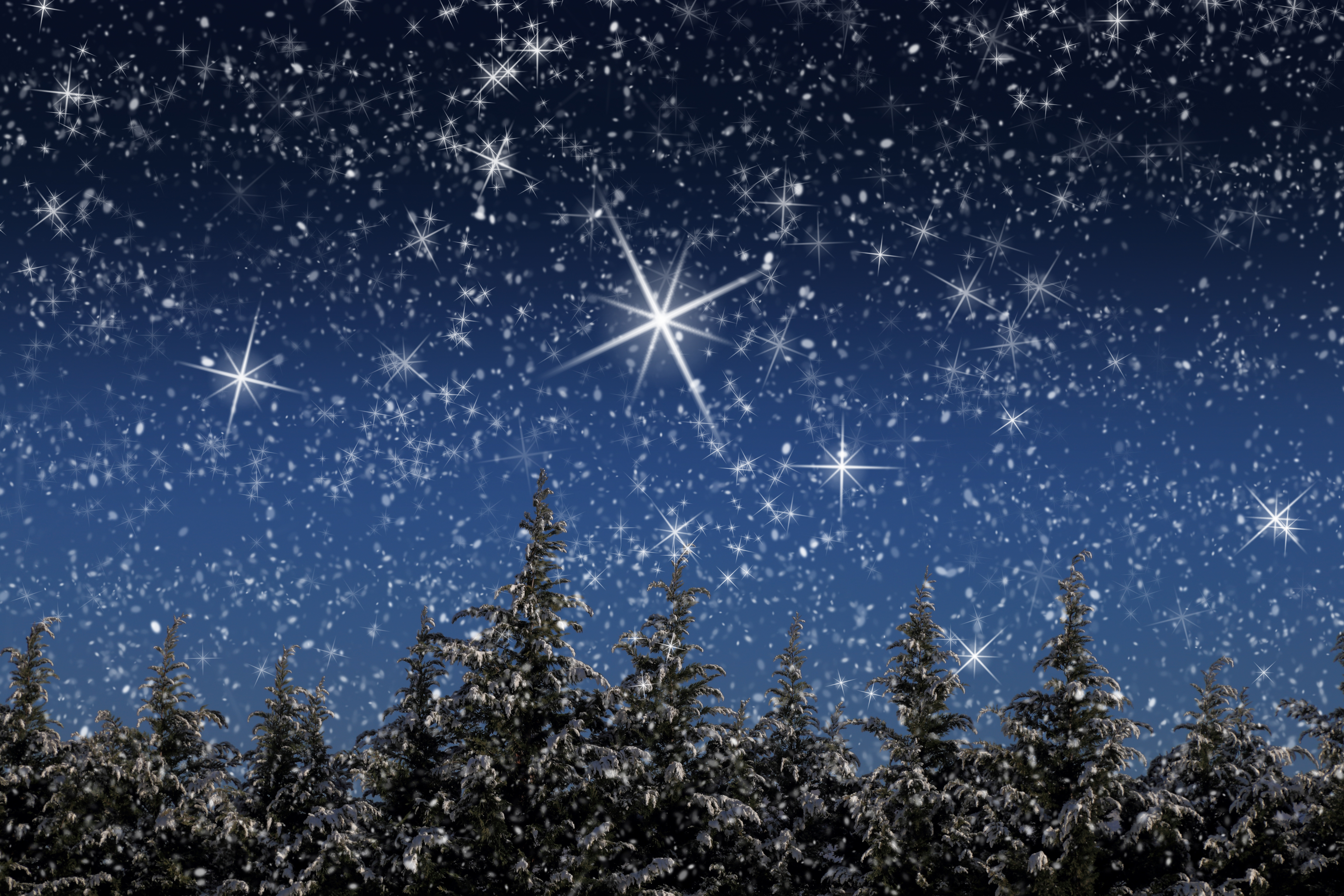 Хочу чтоб звезда. Зимнее звездное небо. Звезды на зимнем небе. Звездное Рождественское небо. Зимнее ночное небо.
